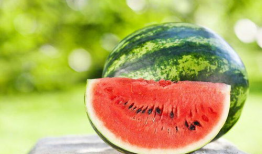 今日热瓜 吃瓜 每日更新.co,每日更新，吃瓜群众必看！”